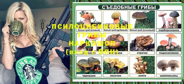 Альфа ПВП Нефтекумск