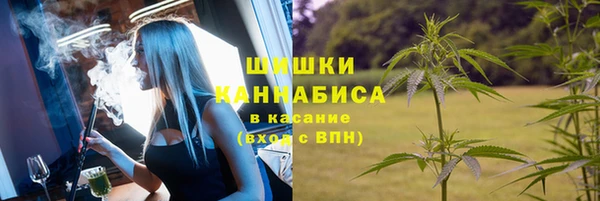 Альфа ПВП Нефтекумск