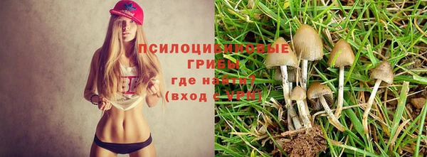 Альфа ПВП Нефтекумск