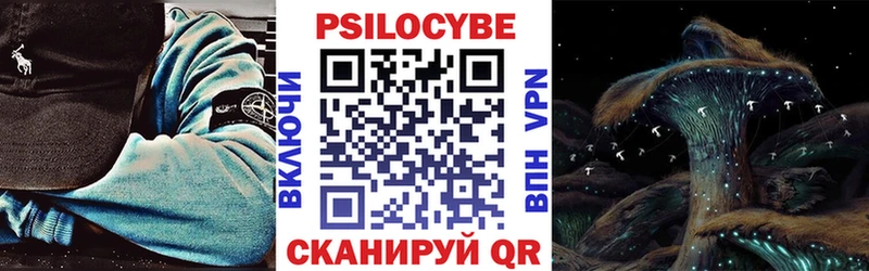 Псилоцибиновые грибы Psilocybine cubensis  Саранск 